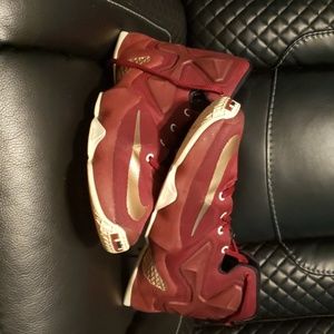 Nike Labron James Baaketball shoes